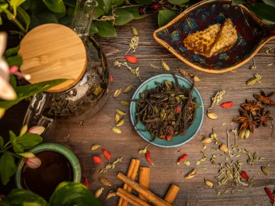 Ayahuasca - The Rainforest Brew That Blends DMT, H...