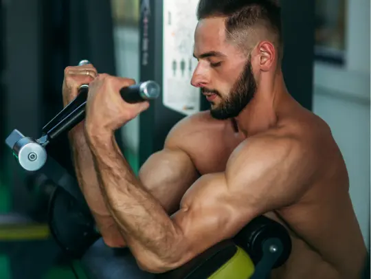 Finding Strength in Balance - Natural Testosterone Supp