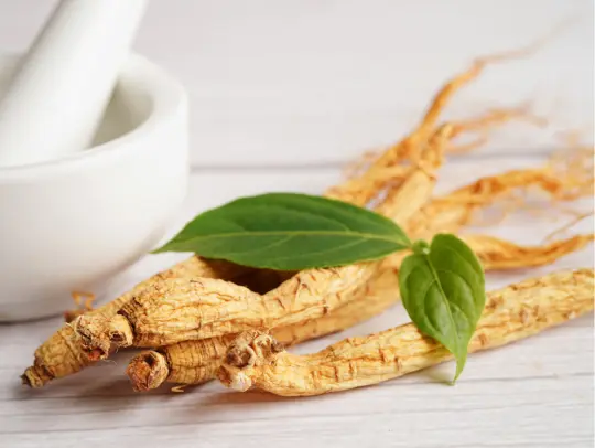 Ginseng Gains Can This Ancient Herb Boost Your Ene...